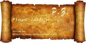Pleyer Zalán névjegykártya